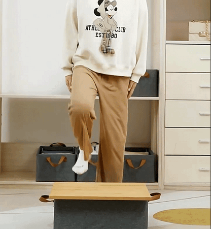 Premium Foldable Wardrobe Storage Box